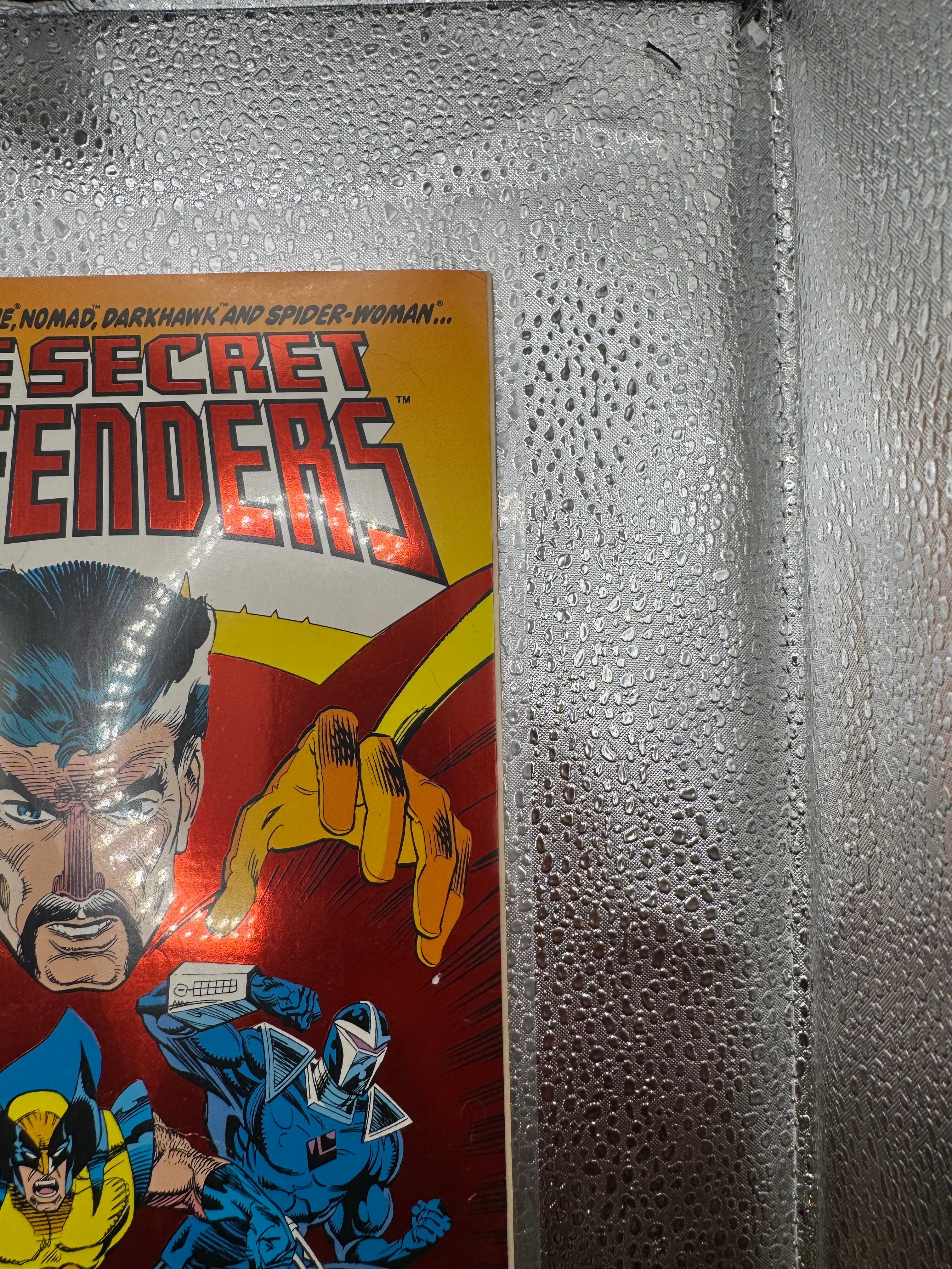 The Secret Defenders