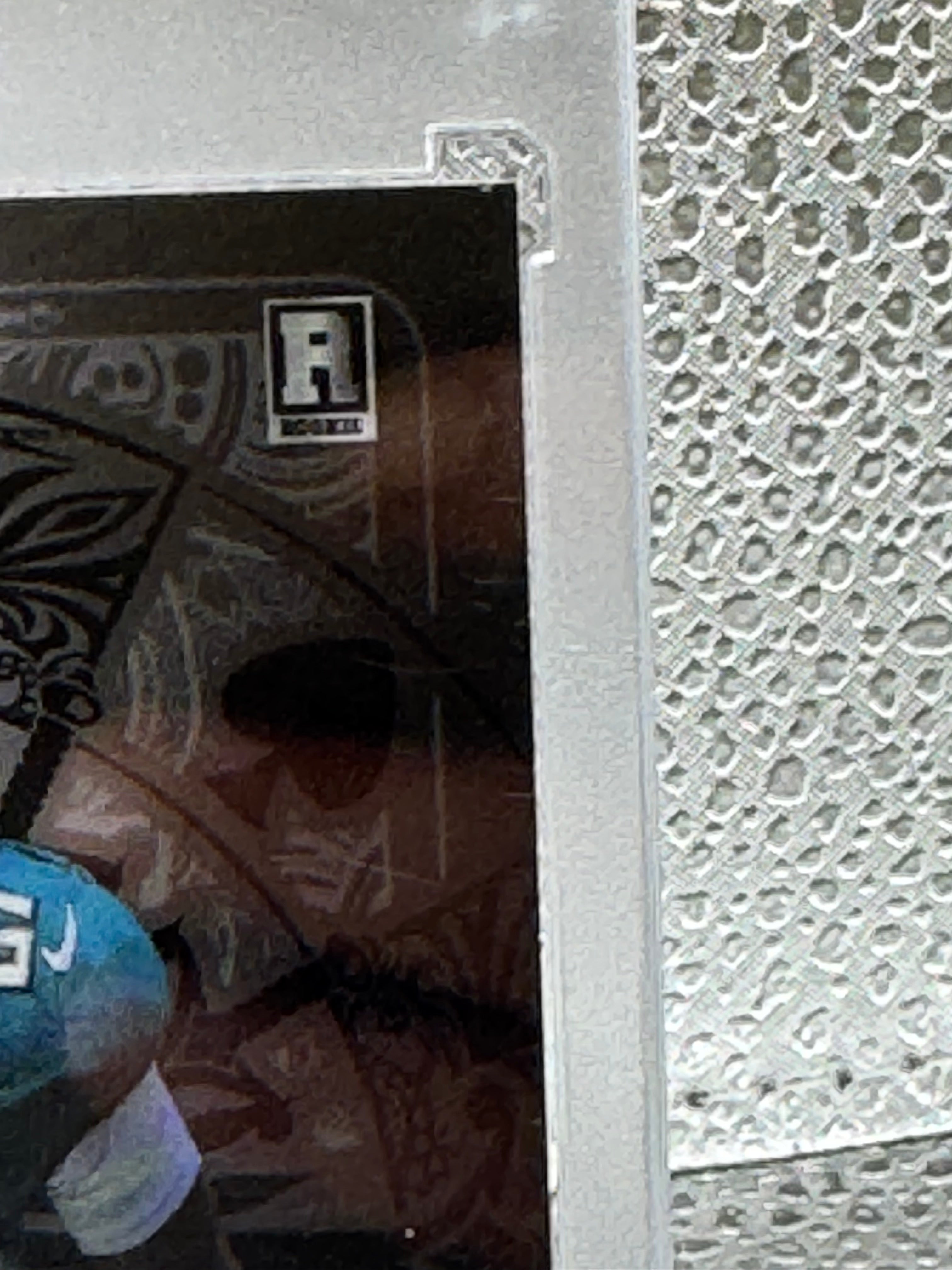 2024 Wild Card 5 Card Draw Quinyon Mitchell 1/1