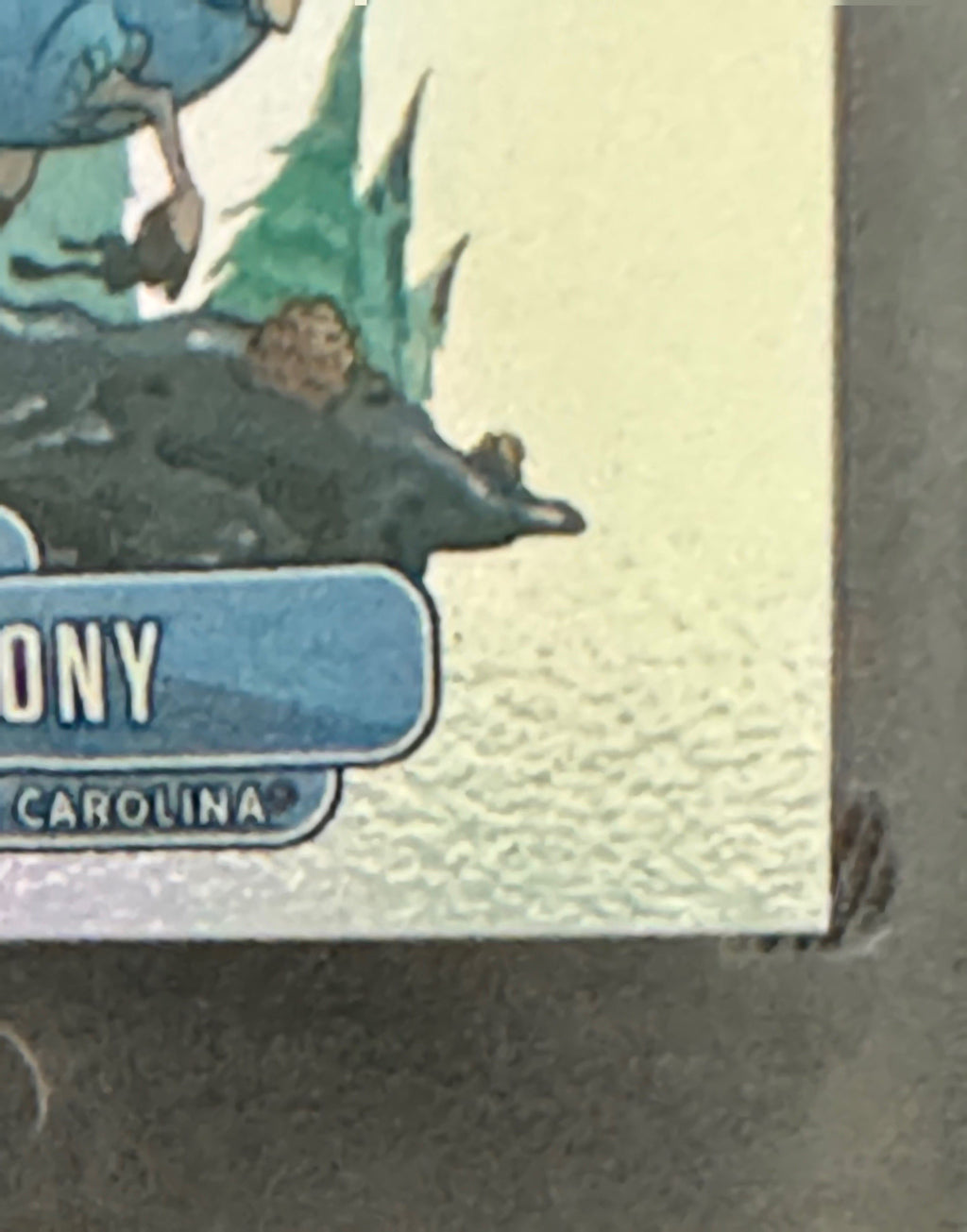 2020 Panini  Cole Anthony #D-3 Downtown